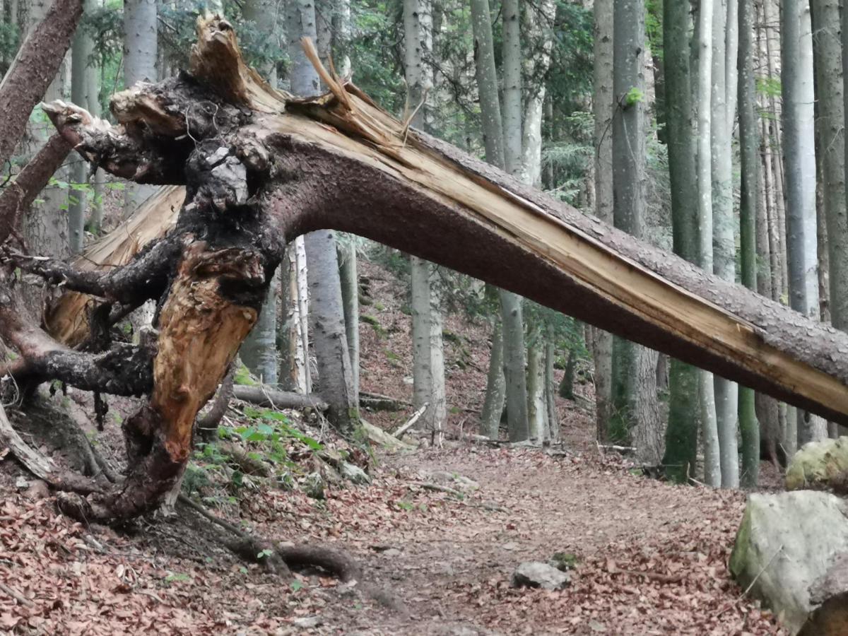Ferienlandhaus Alpinum Lenggries Exteriér fotografie